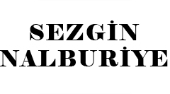 SEZGİN